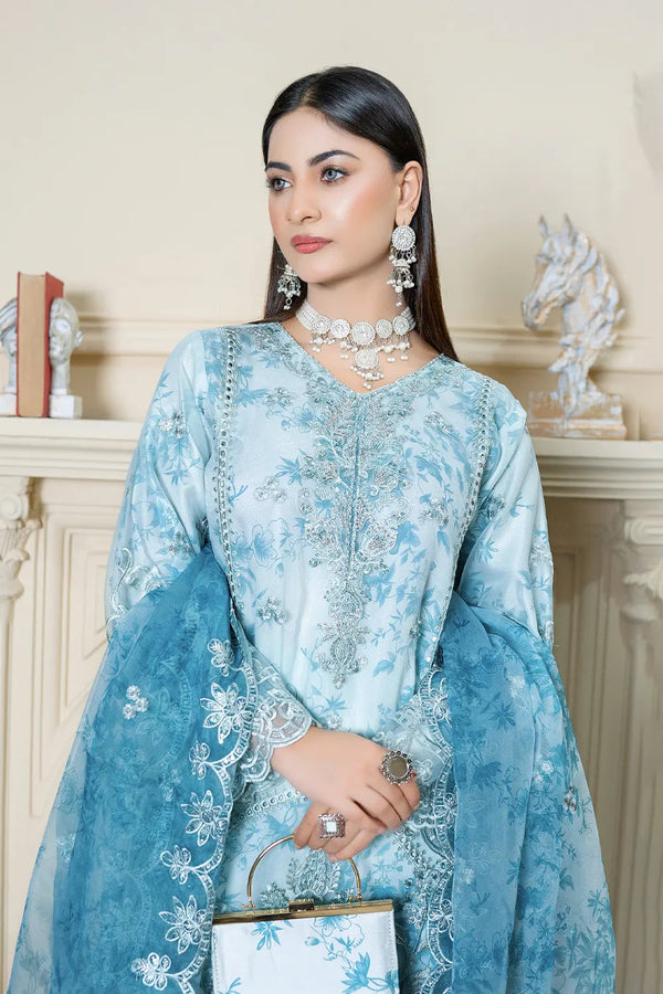 Mah é Rooh | Noor Collection – Organza - NR-6060