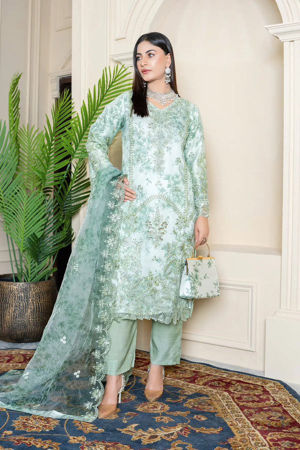 Mah é Rooh | Noor Organza Collection –  NR-6062